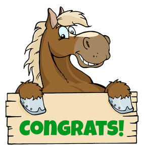 High Point Winners for November 13 Show