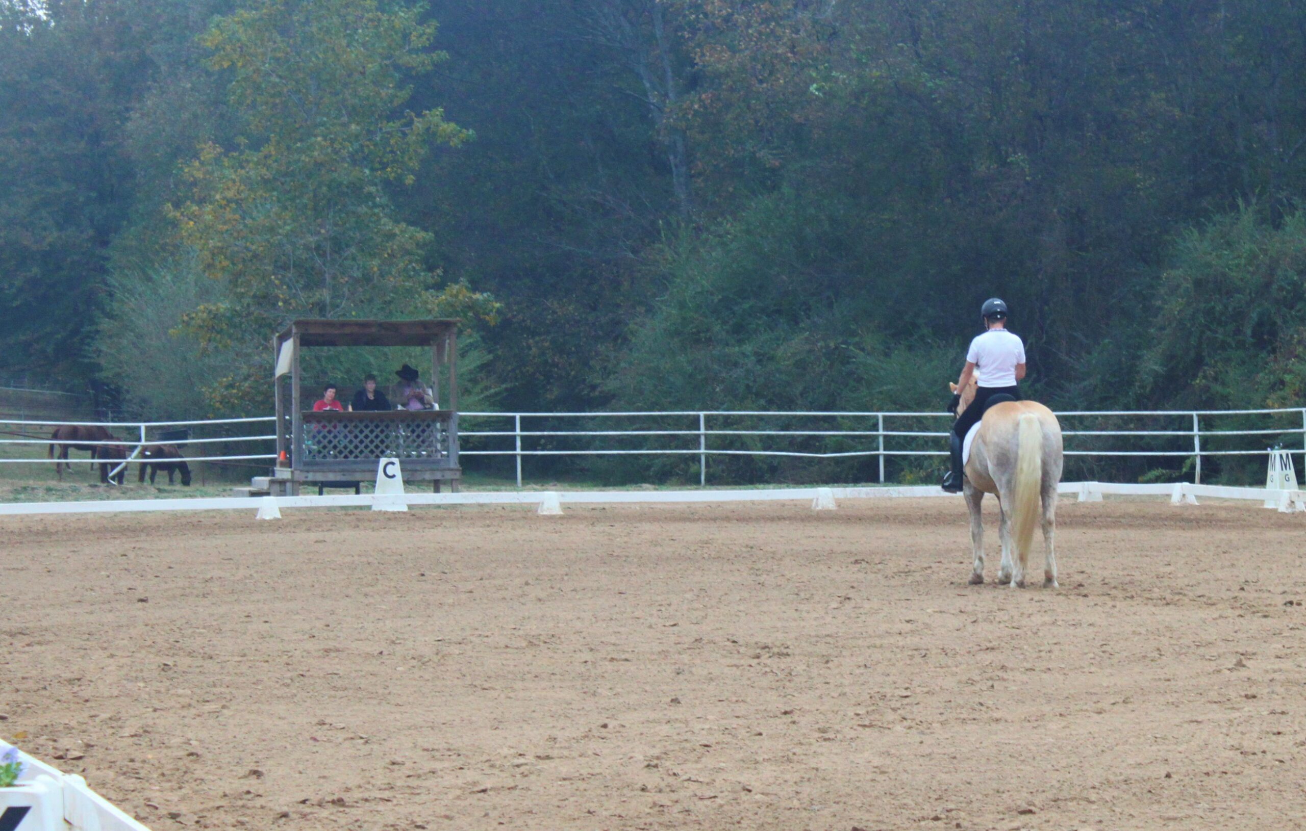 Photos from the G&H Equestrian Show
