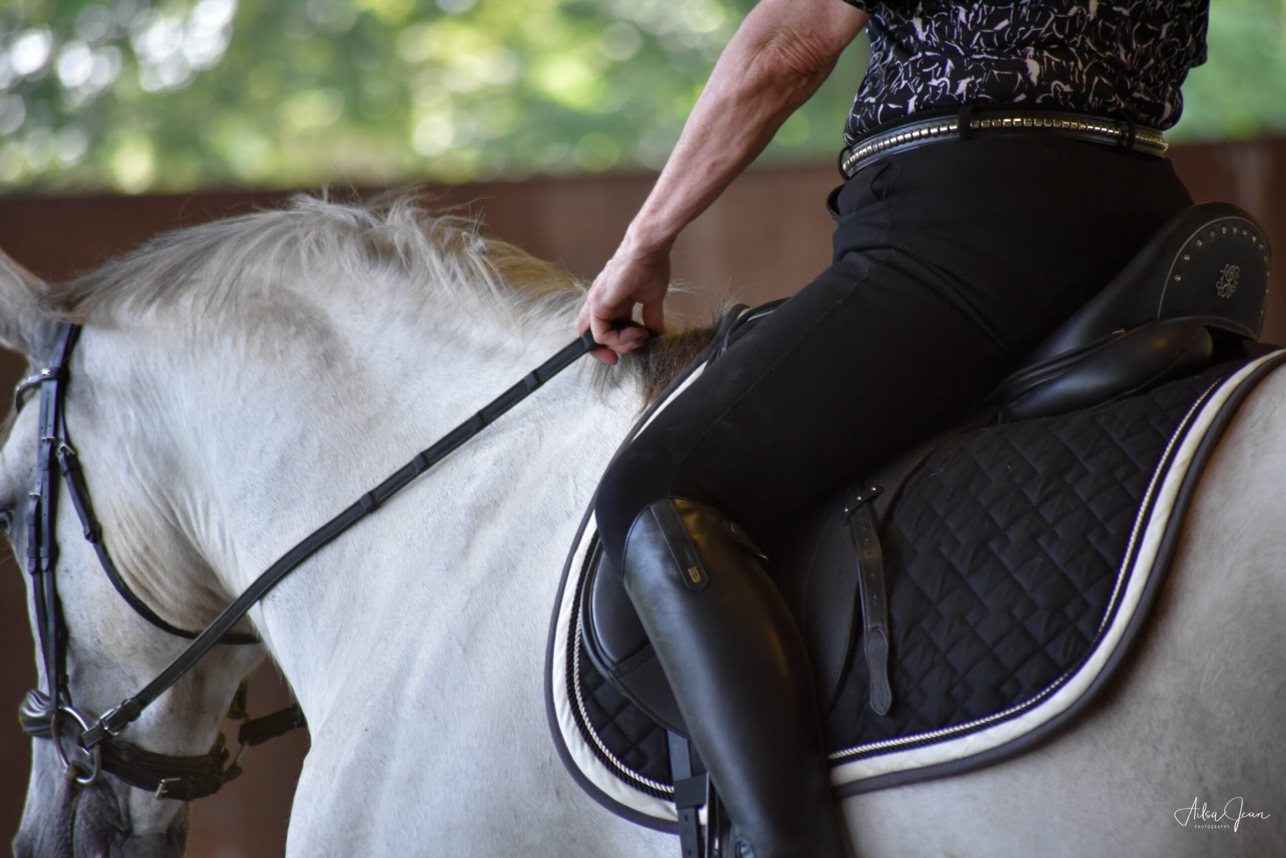 Rider List for the ADS Virtual Show for September 2020