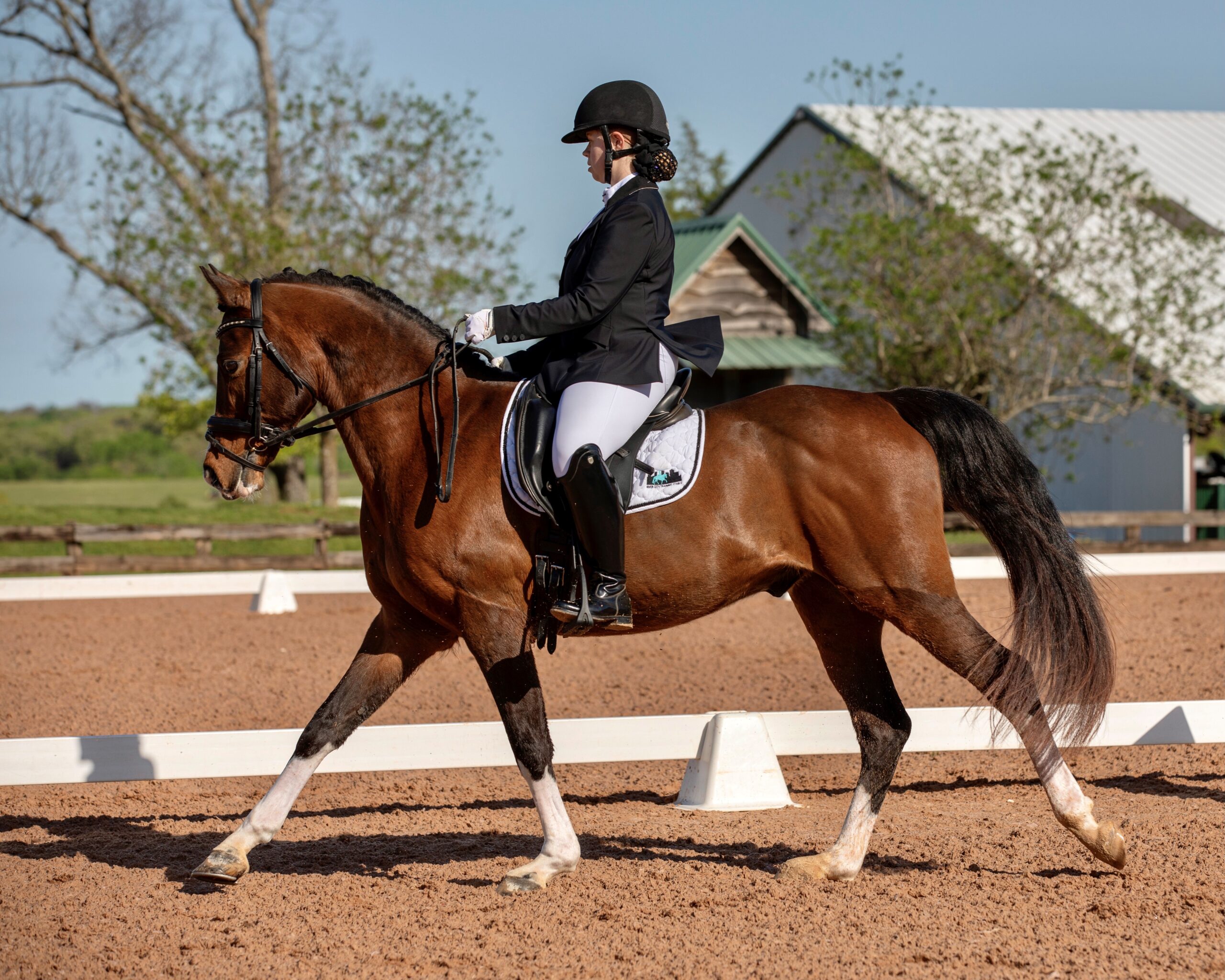 Member Spotlight: Aislin Falasco