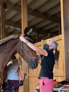 bit_browband
