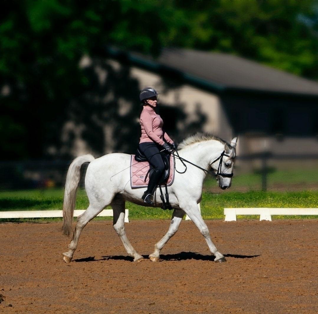 Member Spotlight: TL Jumper