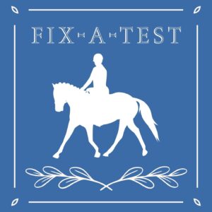 Fix-a-Test Session